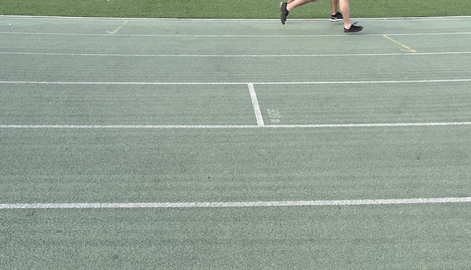 rtp sportisti