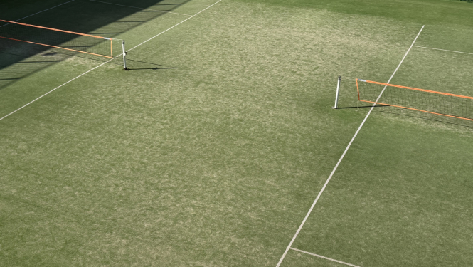 ieteikumi sporta organizācijām